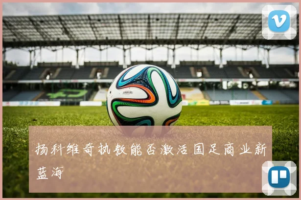 扬科维奇执教能否激活国足商业新蓝海