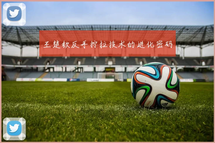 王楚钦反手拧拉技术的进化密码