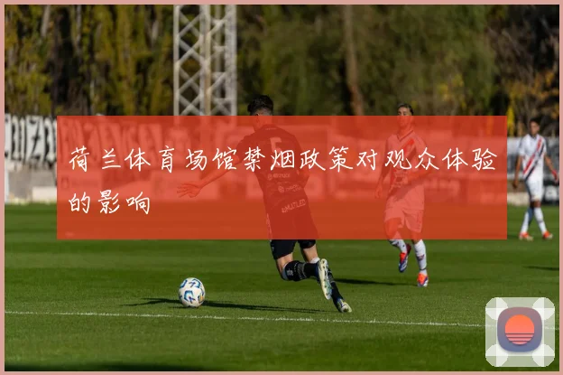 荷兰体育场馆禁烟政策对观众体验的影响