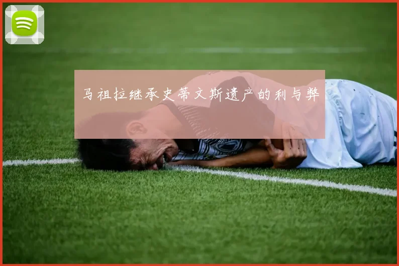 马祖拉继承史蒂文斯遗产的利与弊