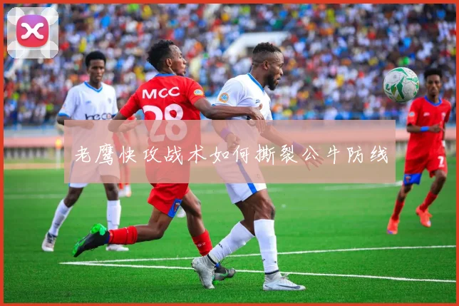 老鹰快攻战术如何撕裂公牛防线