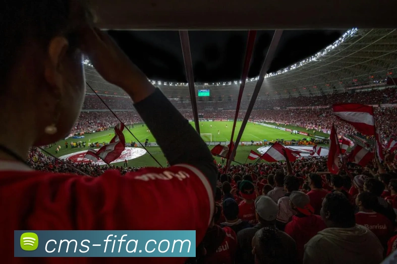 世界杯FIFA服务体系