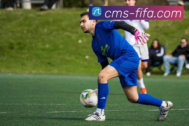 世界杯FIFAAPP 体育赛事宣传图